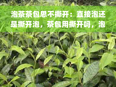 泡茶茶包思不撕开：直接泡还是撕开泡，茶包用撕开吗，泡茶时纸要弄掉吗？