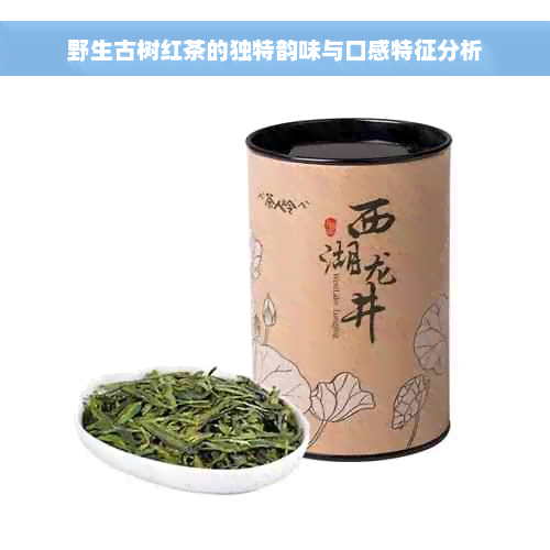 野生古树红茶的独特韵味与口感特征分析