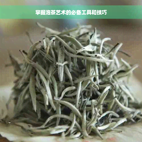 掌握泡茶艺术的必备工具和技巧