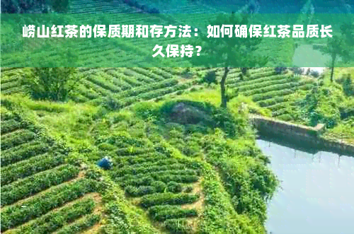 崂山红茶的保质期和存方法：如何确保红茶品质长久保持？