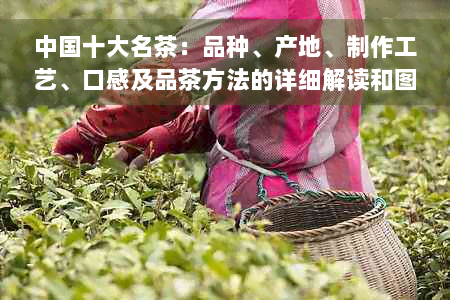 中国十大名茶：品种、产地、制作工艺、口感及品茶方法的详细解读和图片展示