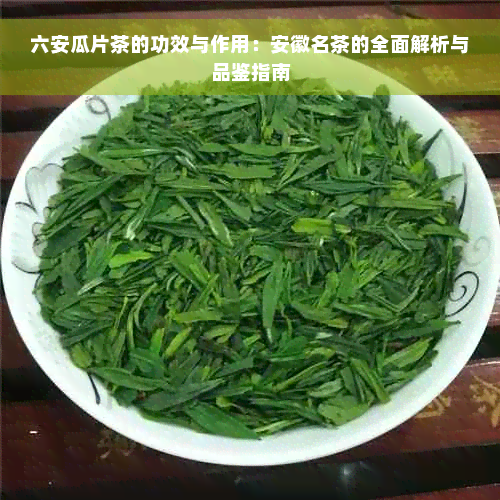 六安瓜片茶的功效与作用：安徽名茶的全面解析与品鉴指南