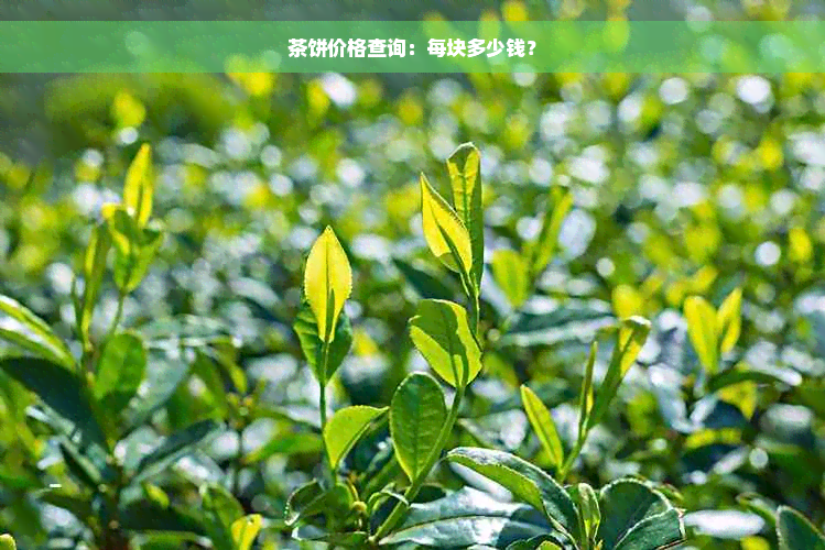 茶饼价格查询：每块多少钱？