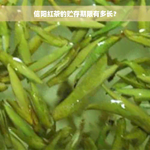 信阳红茶的贮存期限有多长？