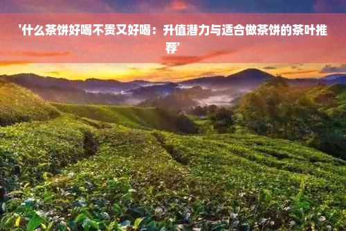 '什么茶饼好喝不贵又好喝：升值潜力与适合做茶饼的茶叶推荐'