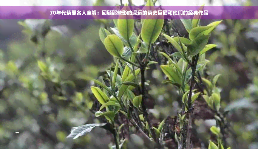 70年代茶壶名人全解：回顾那些影响深远的茶艺巨匠和他们的经典作品