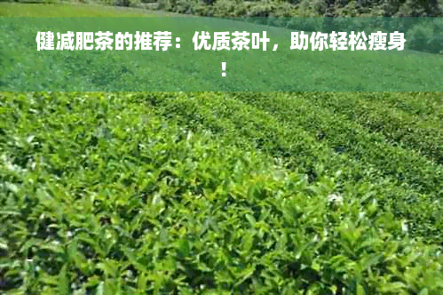 健减肥茶的推荐：优质茶叶，助你轻松瘦身！