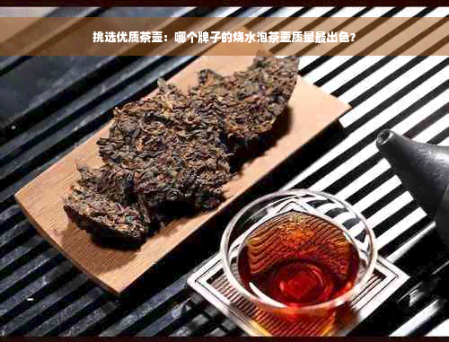 挑选优质茶壶：哪个牌子的烧水泡茶壶质量最出色？