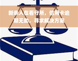 新亲人在看守所，信用卡逾期无助，寻求解决方案