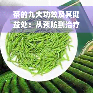 茶的九大功效及其健益处：从预防到治疗，全面了解茶叶的神奇效果