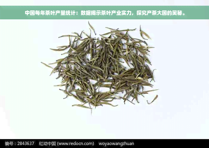 中国每年茶叶产量统计：数据揭示茶叶产业实力，探究产茶大国的奥秘。