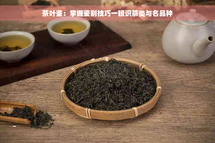 茶叶鉴：掌握鉴别技巧一眼识茶类与名品种