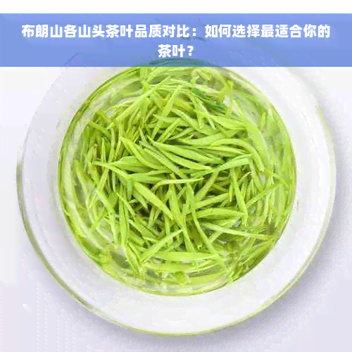 布朗山各山头茶叶品质对比：如何选择最适合你的茶叶？