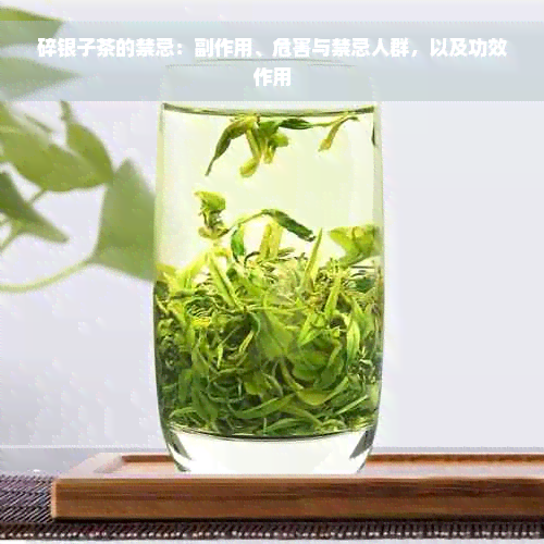 碎银子茶的禁忌：副作用、危害与禁忌人群，以及功效作用