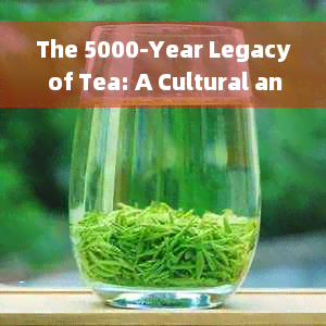 The 5000-Year Legacy of Tea: A Cultural and Historical Journey