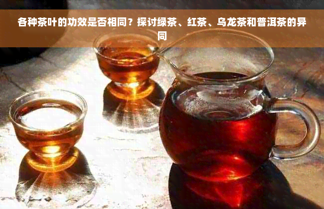 各种茶叶的功效是否相同？探讨绿茶、红茶、乌龙茶和普洱茶的异同