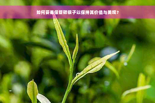 如何妥善保管碎银子以保持其价值与美观？