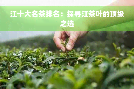 江十大名茶排名：探寻江茶叶的顶级之选