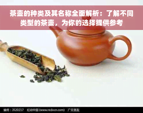 茶壶的种类及其名称全面解析：了解不同类型的茶壶，为你的选择提供参考