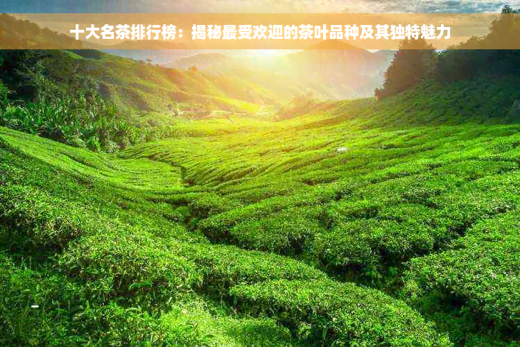 十大名茶排行榜：揭秘更受欢迎的茶叶品种及其独特魅力