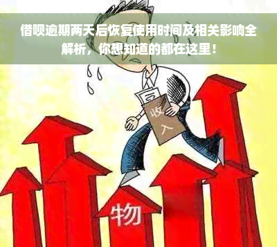 借呗逾期两天后恢复使用时间及相关影响全解析，你想知道的都在这里！