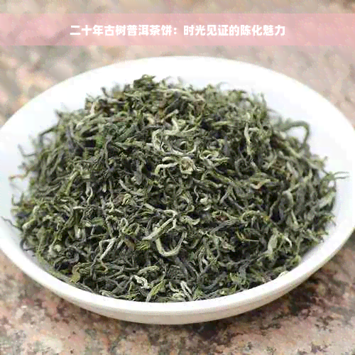 二十年古树普洱茶饼：时光见证的陈化魅力