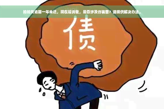 拍拍贷逾期一年未还，现在起诉我，是否涉及诈骗罪？请提供解决办法。