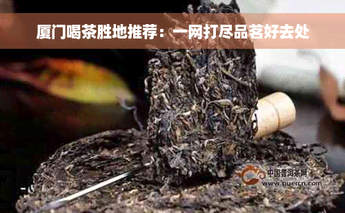 厦门喝茶胜地推荐：一网打尽品茗好去处