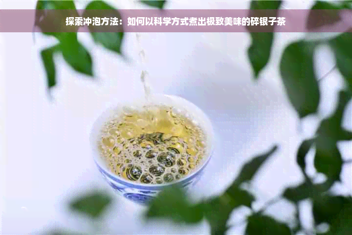 探索冲泡方法：如何以科学方式煮出极致美味的碎银子茶