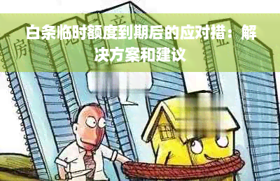 白条临时额度到期后的应对措：解决方案和建议