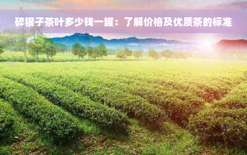 碎银子茶叶多少钱一罐：了解价格及优质茶的标准