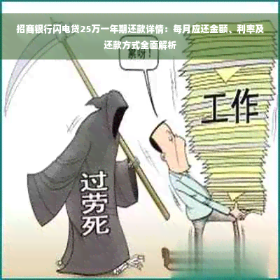 招商银行闪电贷25万一年期还款详情：每月应还金额、利率及还款方式全面解析