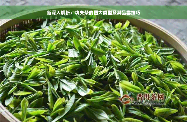 新深入解析：功夫茶的四大类型及其品尝技巧