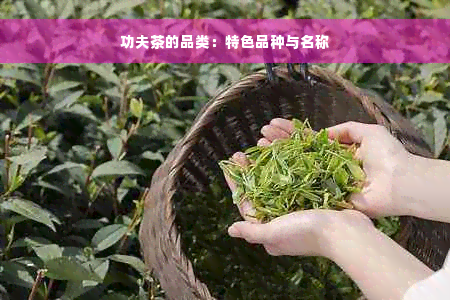 功夫茶的品类：特色品种与名称