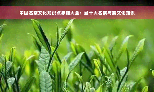 中国名茶文化知识点总结大全：涵十大名茶与茶文化知识