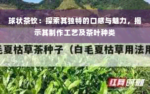 球状茶饮：探索其独特的口感与魅力，揭示其制作工艺及茶叶种类