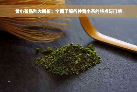 黄小茶品种大解析：全面了解各种黄小茶的特点与口感