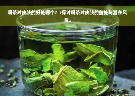 喝茶对皮肤的好处哪个？:探讨喝茶对皮肤的益处与潜在风险。