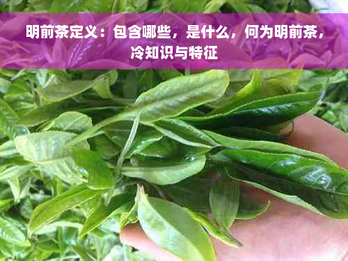 明前茶定义：包含哪些，是什么，何为明前茶，冷知识与特征