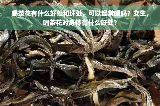 喝茶花有什么好处和坏处，可以经常喝吗？女生，喝茶花对身体有什么好处？