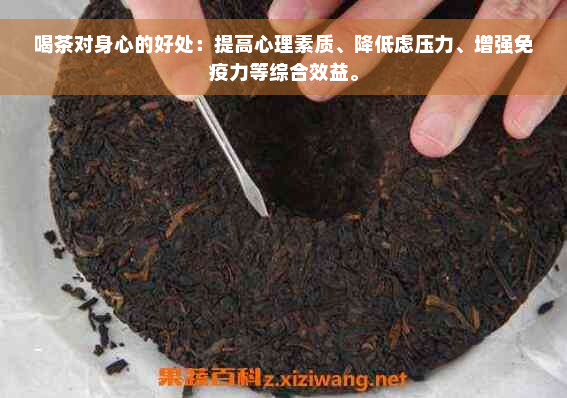 喝茶对身心的好处：提高心理素质、降低虑压力、增强免疫力等综合效益。