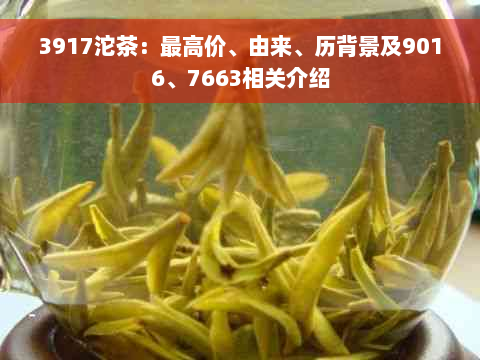 3917沱茶：更高价、由来、历背景及9016、7663相关介绍