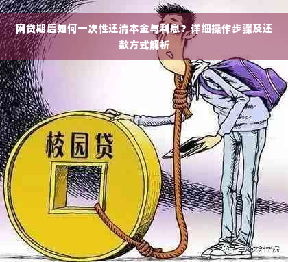 网贷期后如何一次性还清本金与利息？详细操作步骤及还款方式解析