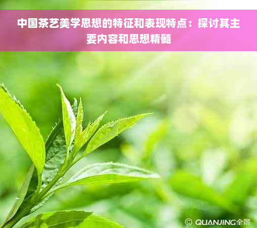 中国茶艺美学思想的特征和表现特点：探讨其主要内容和思想精髓