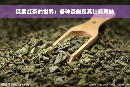 探索红茶的世界：各种茶类及其独特风味