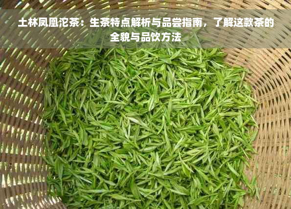 土林凤凰沱茶：生茶特点解析与品尝指南，了解这款茶的全貌与品饮方法