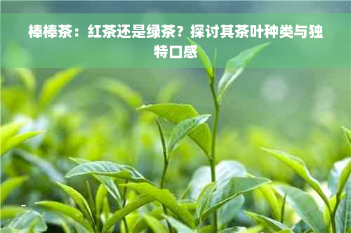 棒棒茶：红茶还是绿茶？探讨其茶叶种类与独特口感