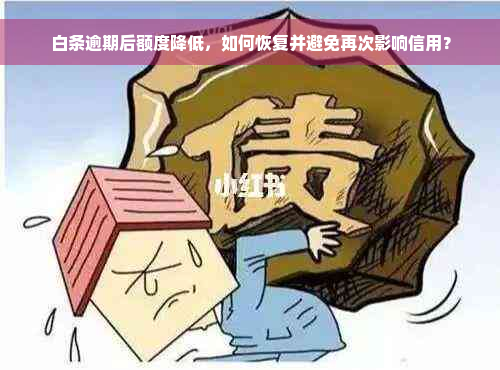 白条逾期后额度降低，如何恢复并避免再次影响信用？