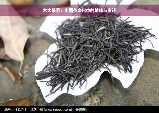 六大茶系：中国茶文化中的精粹与变迁