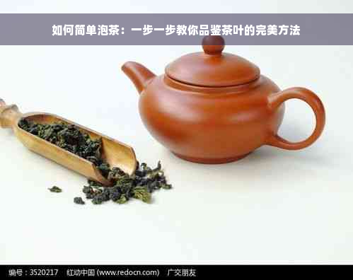 如何简单泡茶：一步一步教你品鉴茶叶的完美方法